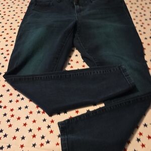 Torrid Dark Blue Women Jeggings